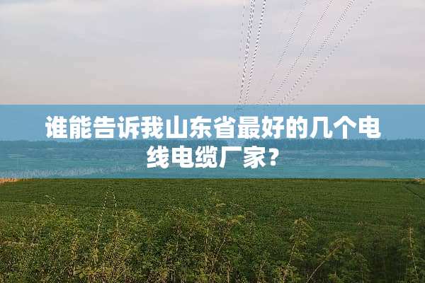 谁能告诉我山东省最好的几个电线电缆厂家？