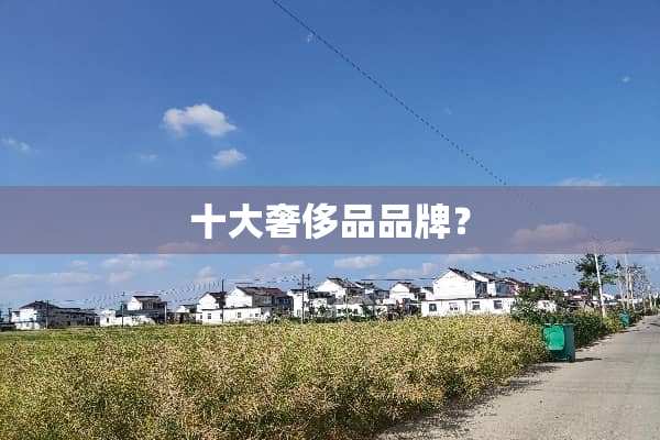 十大奢侈品品牌？