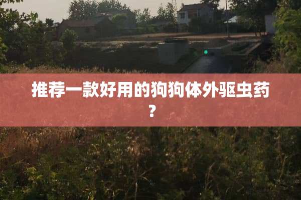 推荐一款好用的狗狗体外驱虫药？