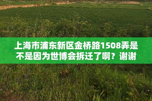 上海市浦东新区金桥路1508弄是不是因为世博会拆迁了啊？谢谢各位了。