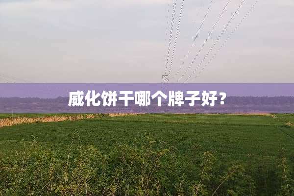 威化饼干哪个牌子好？