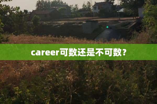 career可数还是不可数？