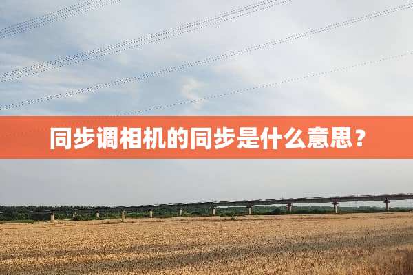 同步调相机的同步是什么意思？