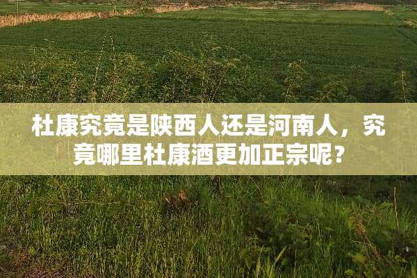 杜康究竟是陕西人还是河南人，究竟哪里杜康酒更加正宗呢？