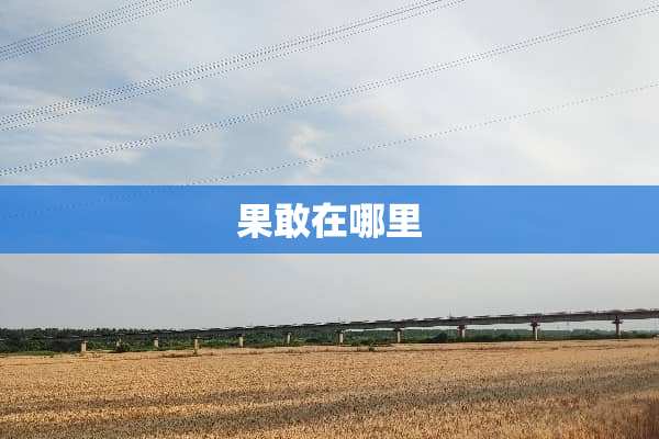 果敢在哪里