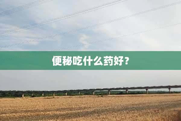 便秘吃什么药好？
