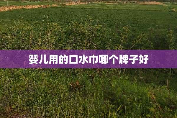 婴儿用的口水巾哪个牌子好