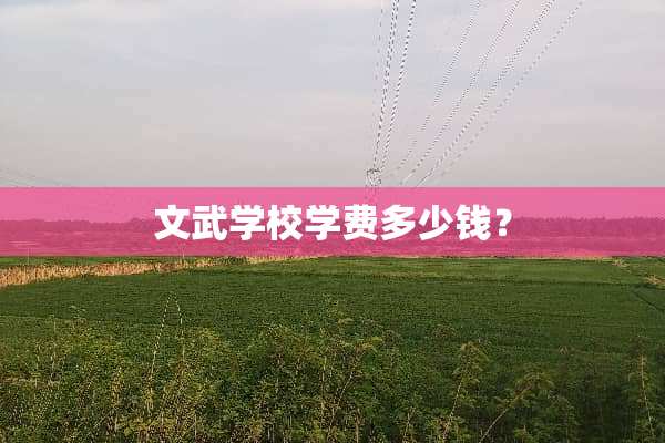 文武学校学费多少钱？