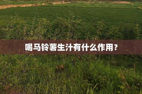 喝马铃薯生汁有什么作用？