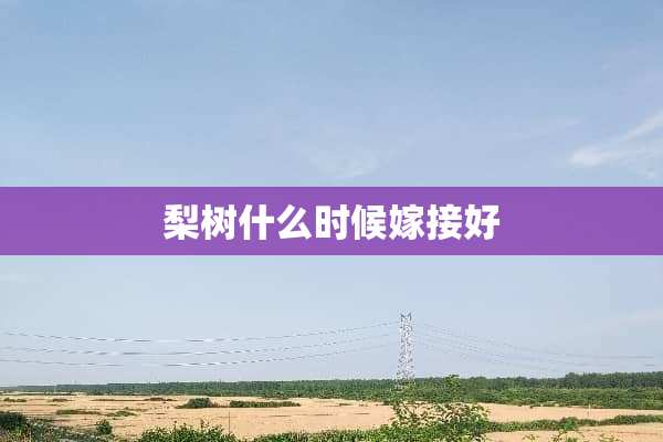 梨树什么时候嫁接好