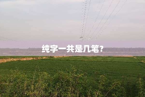 纯字一共是几笔？