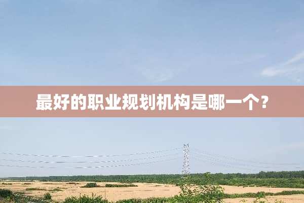 最好的职业规划机构是哪一个？