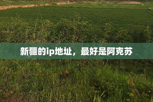 新疆的ip地址，最好是阿克苏