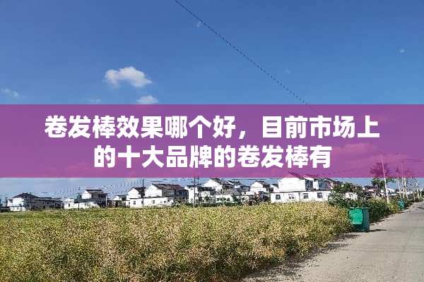 卷发棒效果哪个好，目前市场上的十大品牌的卷发棒有