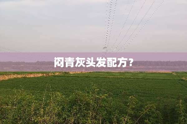 闷青灰头发配方？