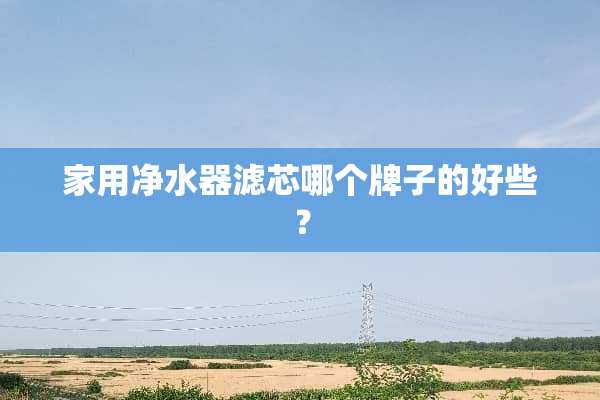 家用***滤芯哪个牌子的好些？