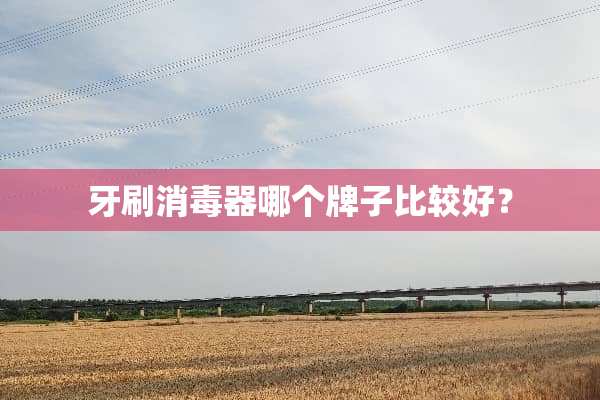 牙刷消毒器哪个牌子比较好？