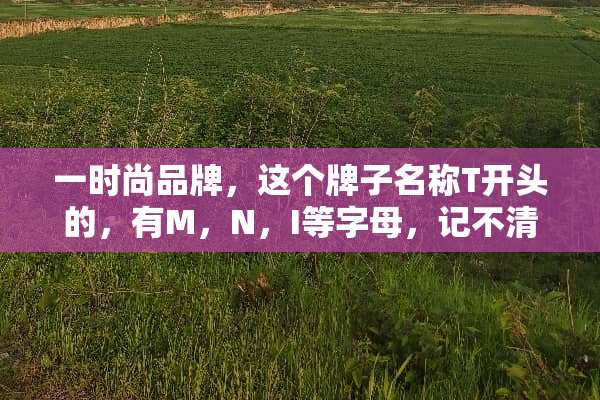 一时尚品牌，这个牌子名称T开头的，有M，N，I等字母，记不清楚了，是什么牌子？