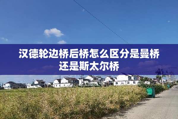汉德轮边桥后桥怎么区分是曼桥还是斯太尔桥