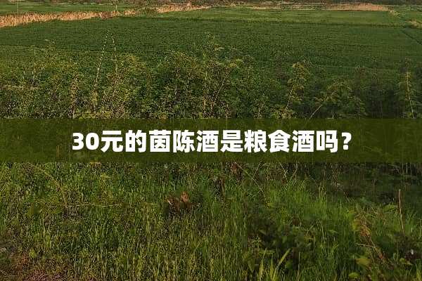 30元的茵陈酒是粮食酒吗？