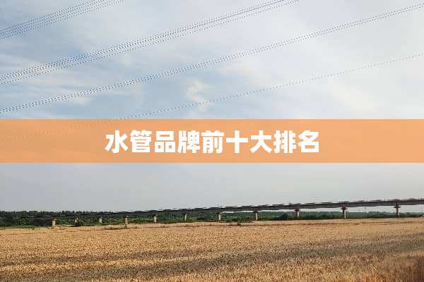 水管品牌前十大排名