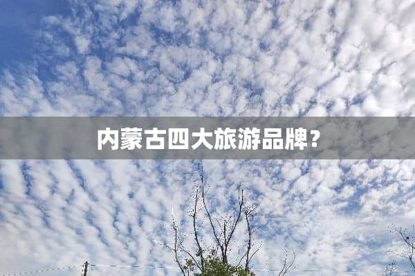 ***四大旅游品牌？