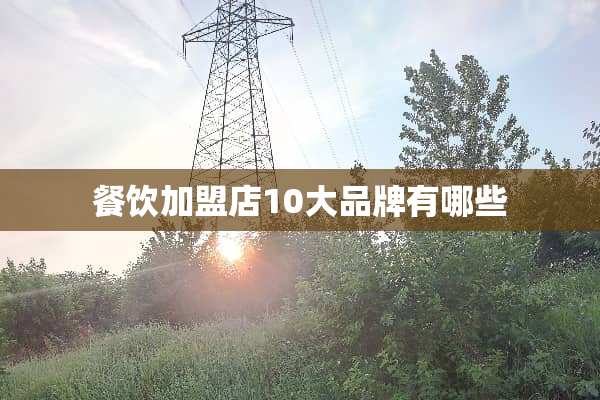 餐饮加盟店10大品牌有哪些