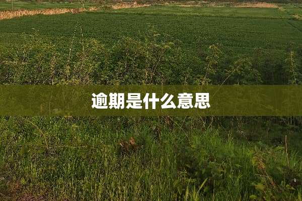 逾期是什么意思