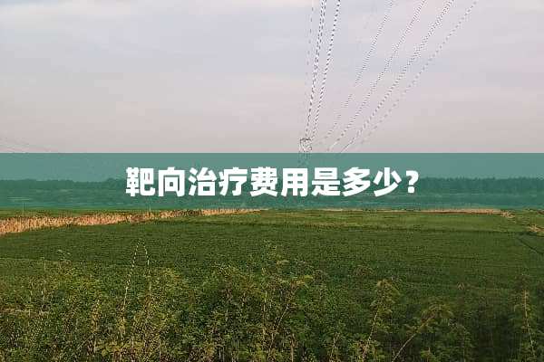 靶向治疗费用是多少？