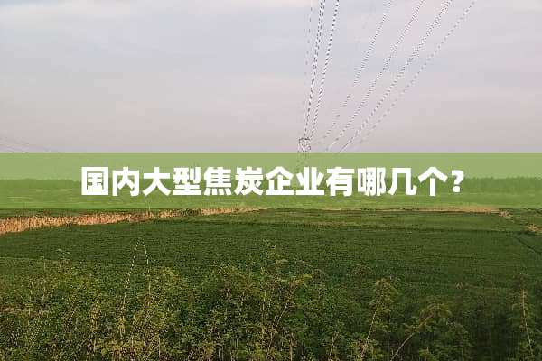 国内大型焦炭企业有哪几个？