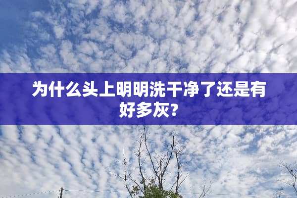 为什么头上明明洗干净了还是有好多灰？