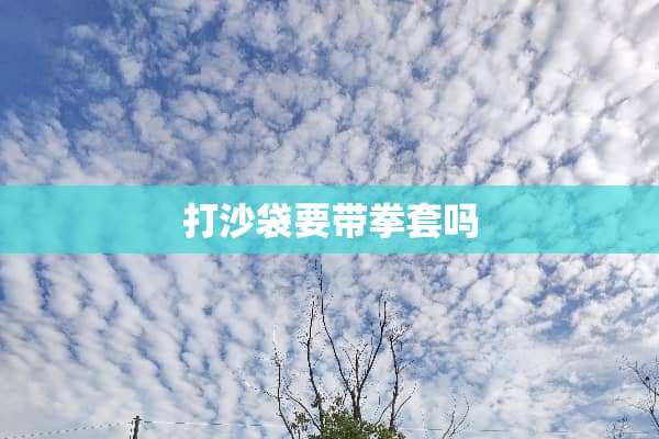 打沙袋要带拳套吗