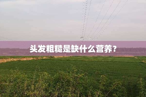头发粗糙是缺什么营养？