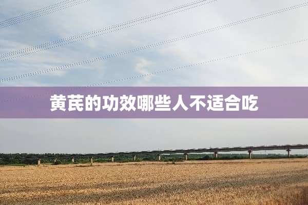 黄芪的功效哪些人不适合吃