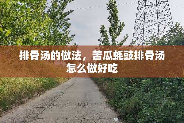 排骨汤的做法，苦瓜蚝豉排骨汤怎么做好吃