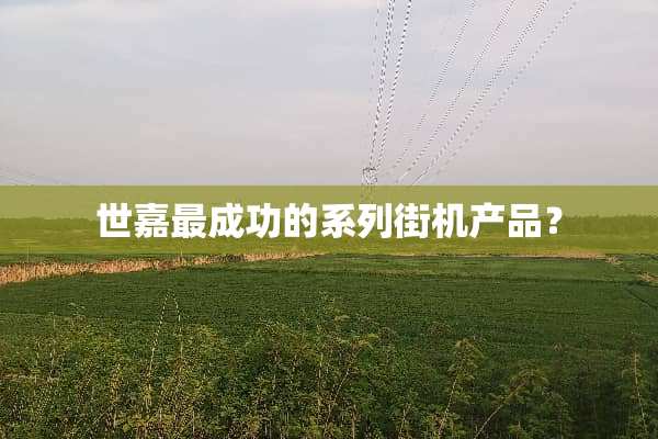 世嘉最成功的系列街机产品？