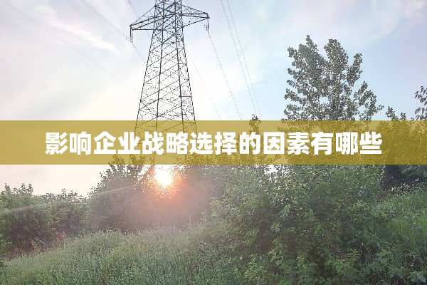 影响企业战略选择的因素有哪些