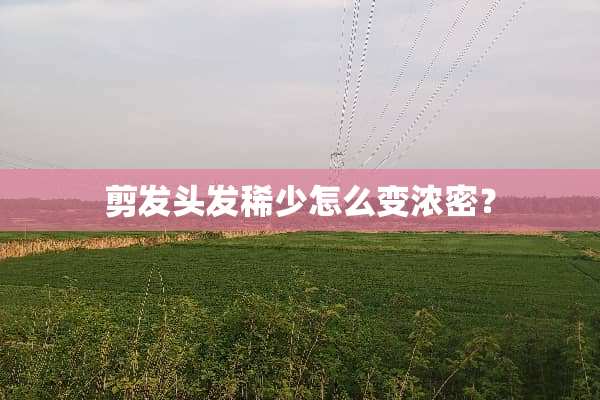 剪发头发稀少怎么变浓密？