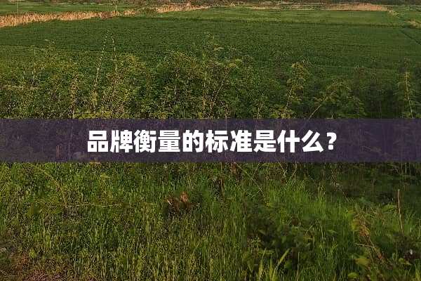 品牌衡量的标准是什么？