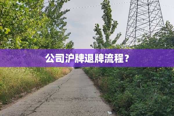 公司沪牌退牌流程？