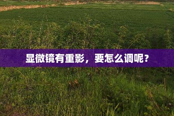 显微镜有重影，要怎么调呢？