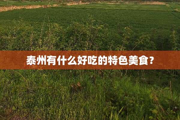 泰州有什么好吃的特色美食？
