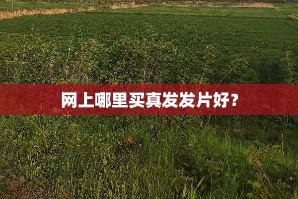 网上哪里买真发发片好？