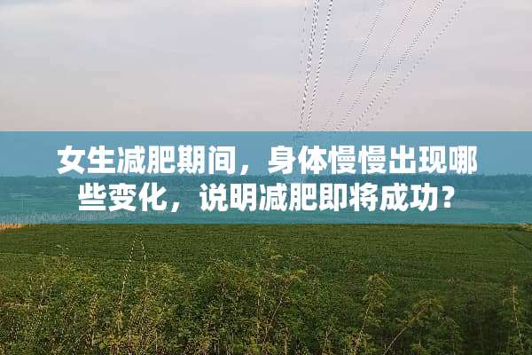 女生减肥期间，身体慢慢出现哪些变化，说明减肥即将成功？