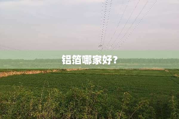 铝箔哪家好？