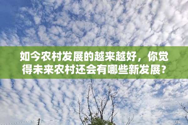 如今农村发展的越来越好，你觉得未来农村还会有哪些新发展？