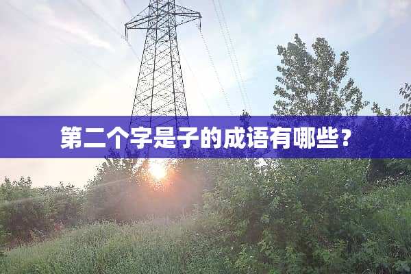 第二个字是子的成语有哪些？
