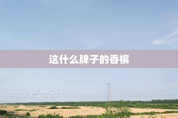 这什么牌子的香槟