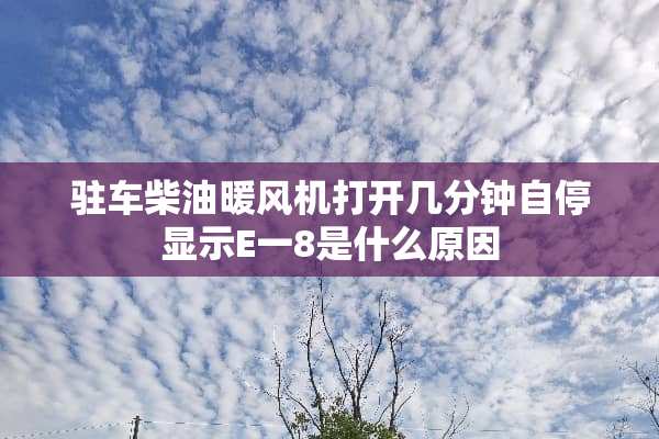 驻车柴油暖风机打开几分钟自停显示E一8是什么原因