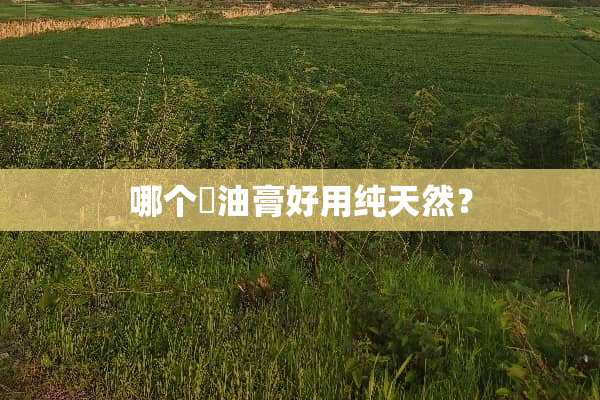 哪个焗油膏好用纯天然？